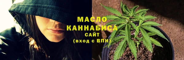 альфа пвп Гусев