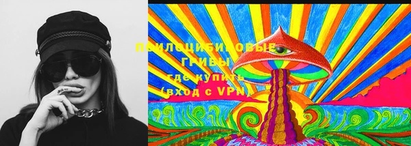 альфа пвп Гусев