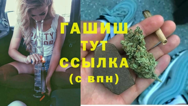 альфа пвп Гусев