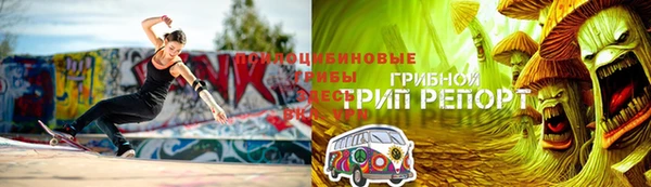 PSILOCYBIN Гусиноозёрск